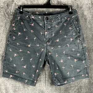 Aeropostale Shorts Mens 31 (32) Blue Flamingo Chino Preppy Vacation Tropical